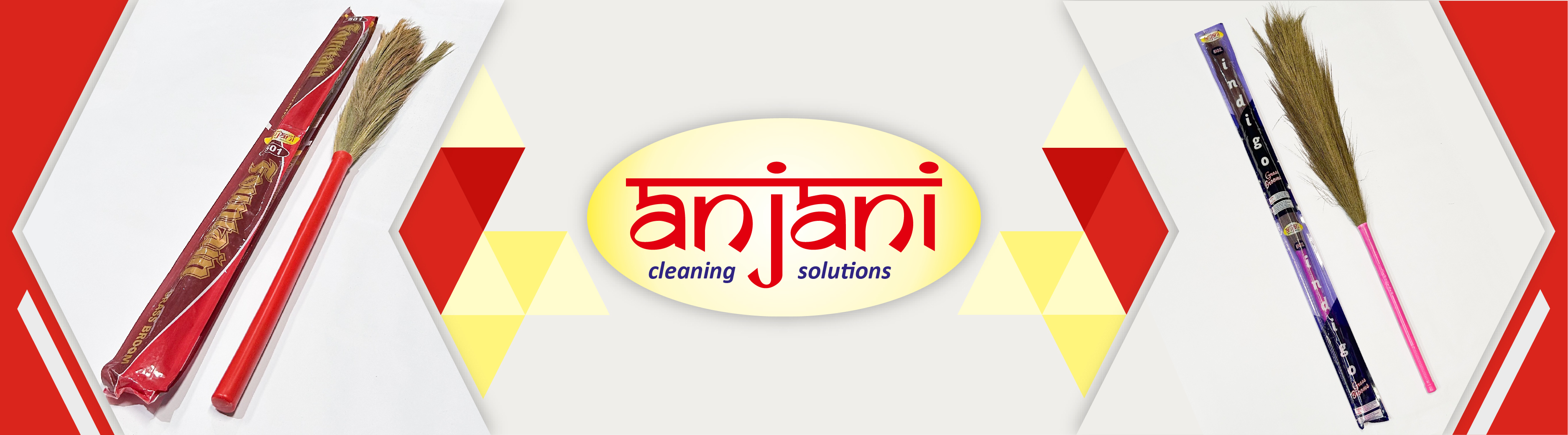 Anjani 501